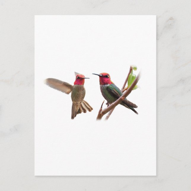 CARTÃO POSTAL DUAS JOIAS VOADORAS (Frente)