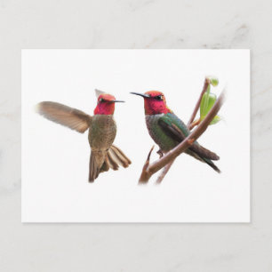 CARTÃO POSTAL DUAS JOIAS VOADORAS