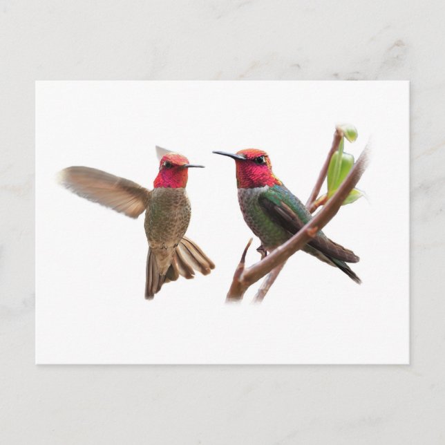 CARTÃO POSTAL DUAS JOIAS VOADORAS (Frente)