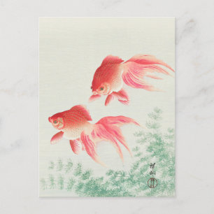 Cartão Postal Duas Pinturas de Veil Goldfish de Ohara Koson