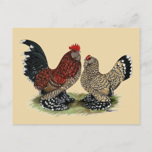 Cartão Postal D'Uccle Bantams: Mille Fleur