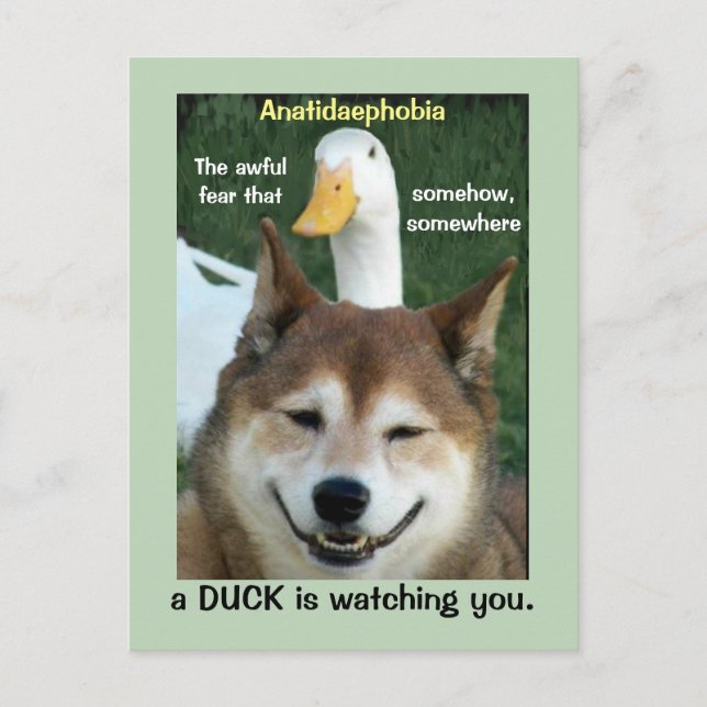 Cartão Postal Duck Shiba Inu Dog Anatidaephobia Foto Engraçado (Frente)
