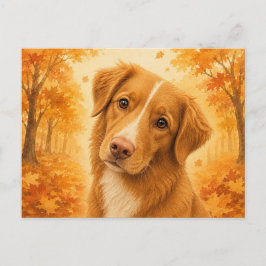 Cartão Postal Duck Tolling Retriever Autumn Dog