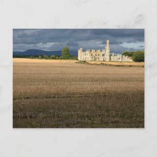 Cartão Postal Duckets Grove