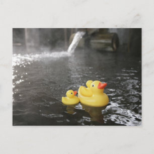 Cartão Postal Duckies de borracha japonês