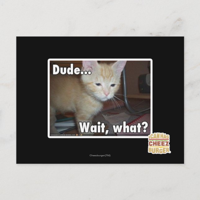 Cartão Postal Dude (Frente)