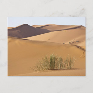 Cartão Postal Dunas de areia, deserto do Saara, Marrocos