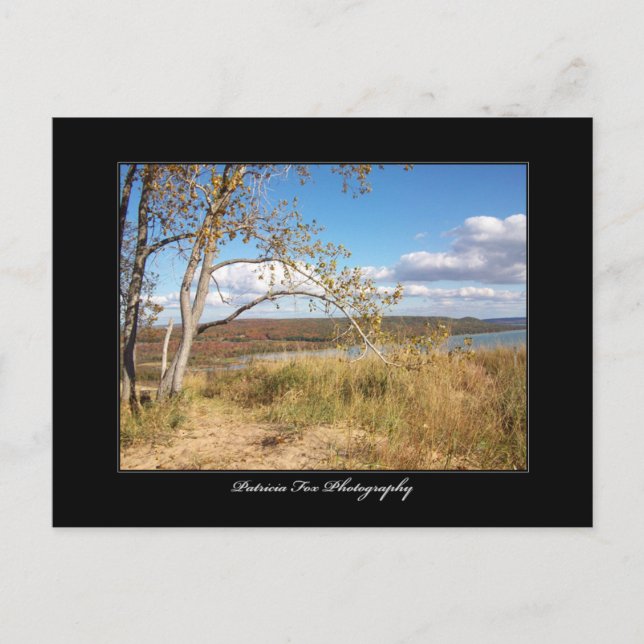 Cartão Postal Dunas de Areia do Urso Dormindo 1 - Cartão-postal (Frente)