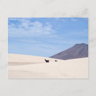 Cartão Postal Dunas de Corralejo, Fuerteventura, Ilhas Canárias