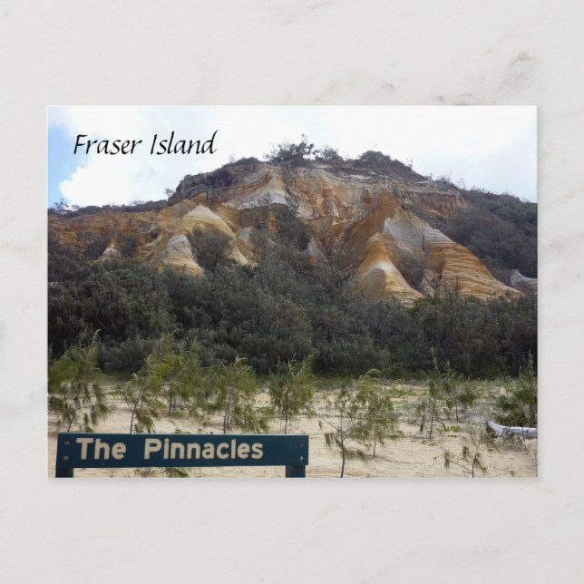 Cartão Postal dunas de pináculo fraser (Frente)