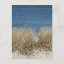 Cartão Postal dünen