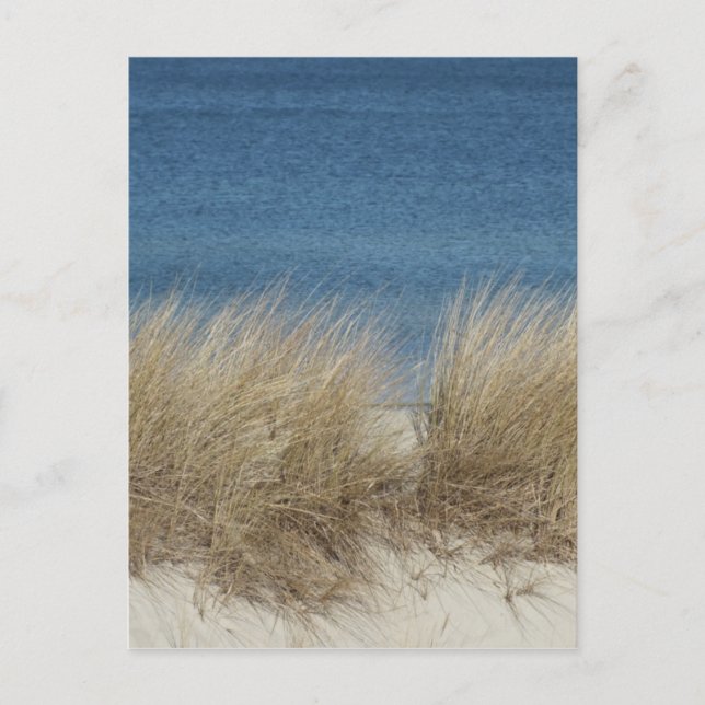 Cartão Postal dünen (Frente)