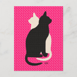 Cartão Postal Duo branco de Catz do gatinho do preto da boa