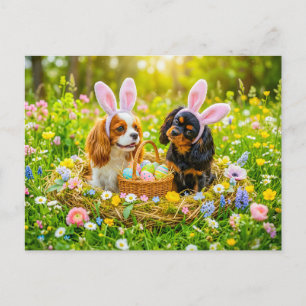 Cartão Postal Duo de Spaniel em ninho de Páscoa no prado