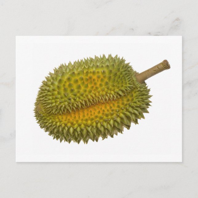 Cartão Postal Durian (Frente)