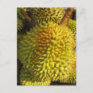 Cartão Postal Durian Fruta