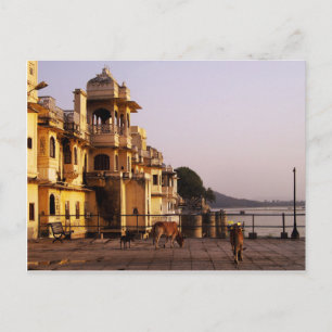 Cartão Postal Dusk em Ganghaur Ghat, Udaipur, Rajasthan, Índia