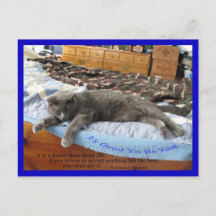 Cartão Postal É bom ser rei