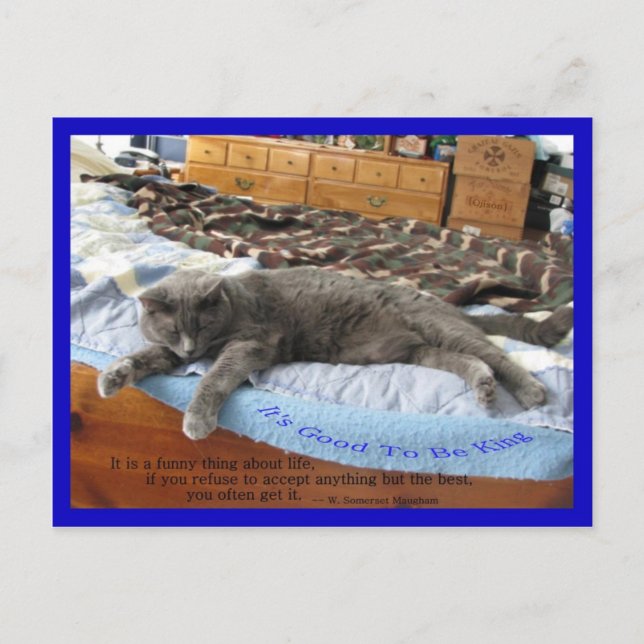 Cartão Postal É bom ser rei (Frente)