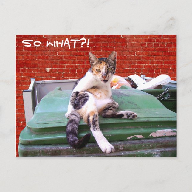 Cartão Postal E daí? (Frente)