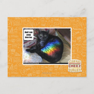 Cartão Postal E eu posso dem do tombadilho demasiado