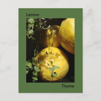 Cartão Postal É Lemon Thyme.