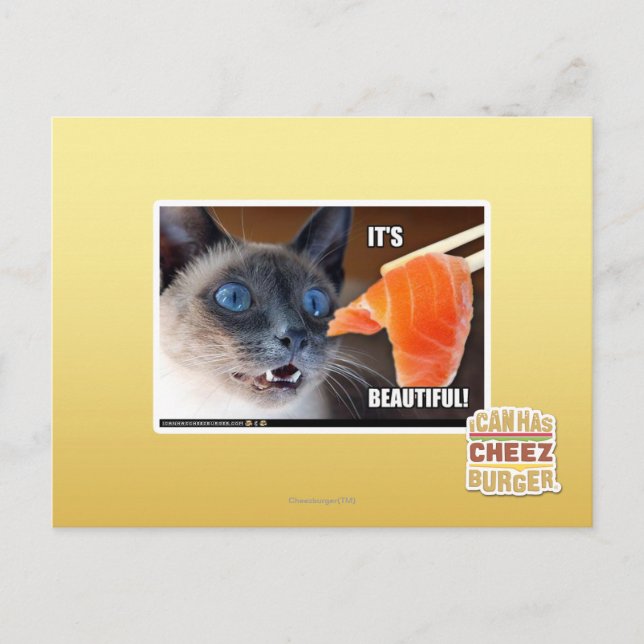 Cartão Postal É lindo! (Frente)