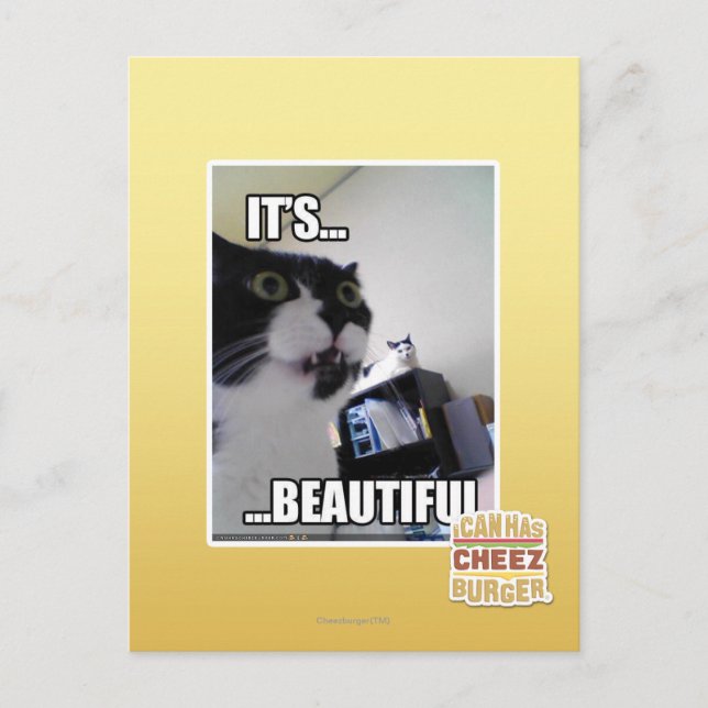 Cartão Postal É lindo (Frente)