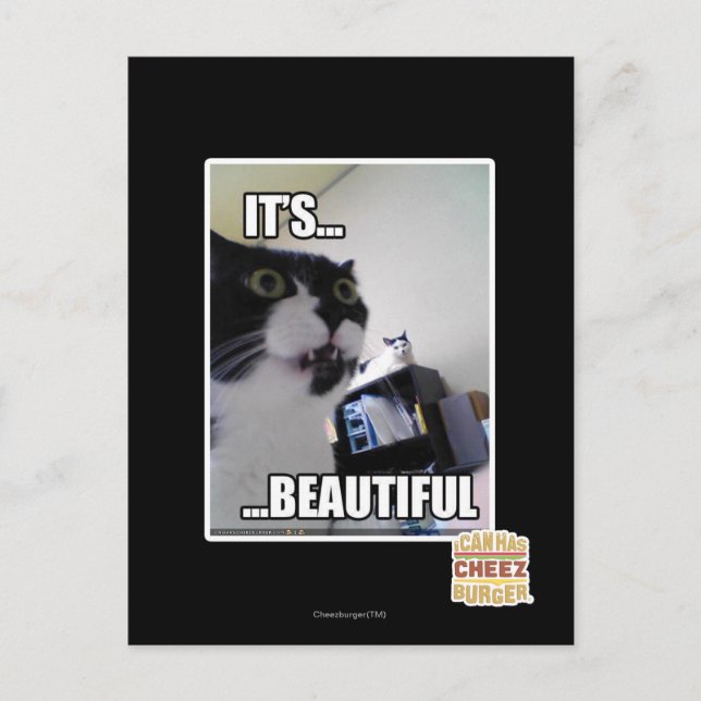 Cartão Postal É lindo (Frente)