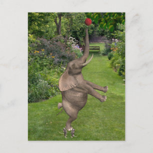 Cartão Postal É para isso que servem os amigos