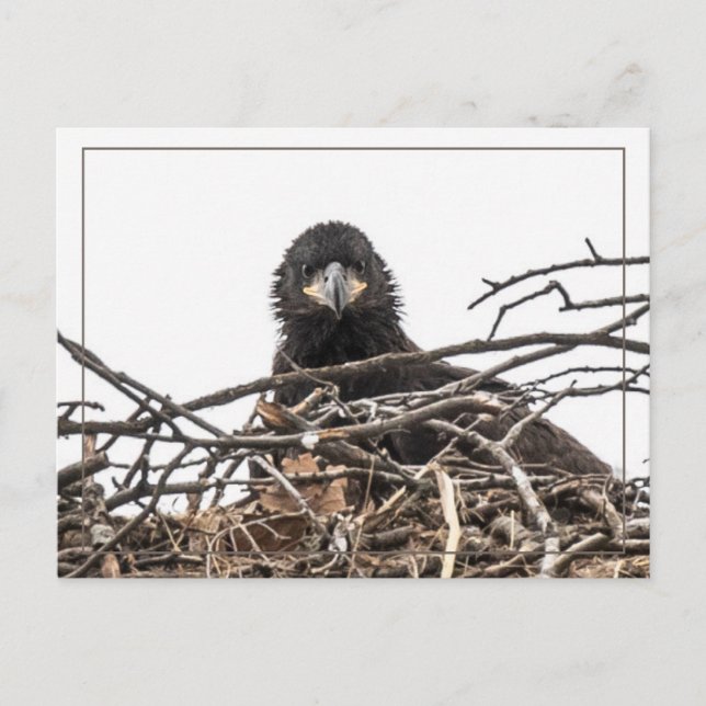 Cartão Postal É um grande novo mundo (Frente)