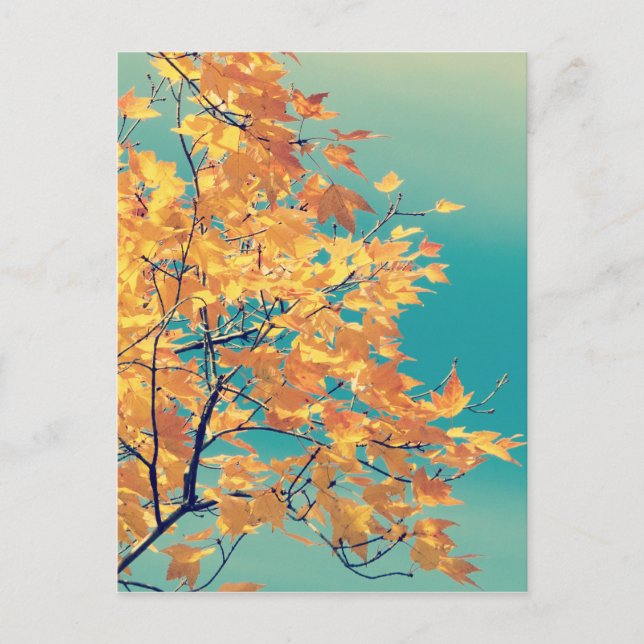 Cartão Postal É uma coisa de folha 1 (Frente)