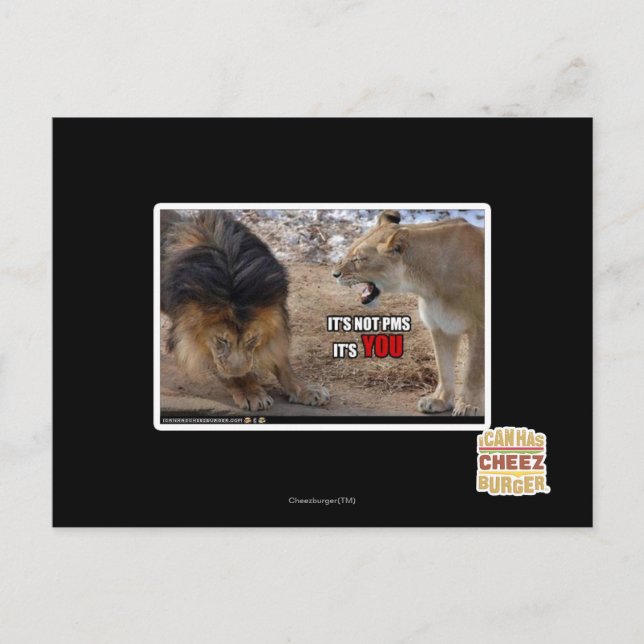 CARTÃO POSTAL É VOCÊ! (Frente)