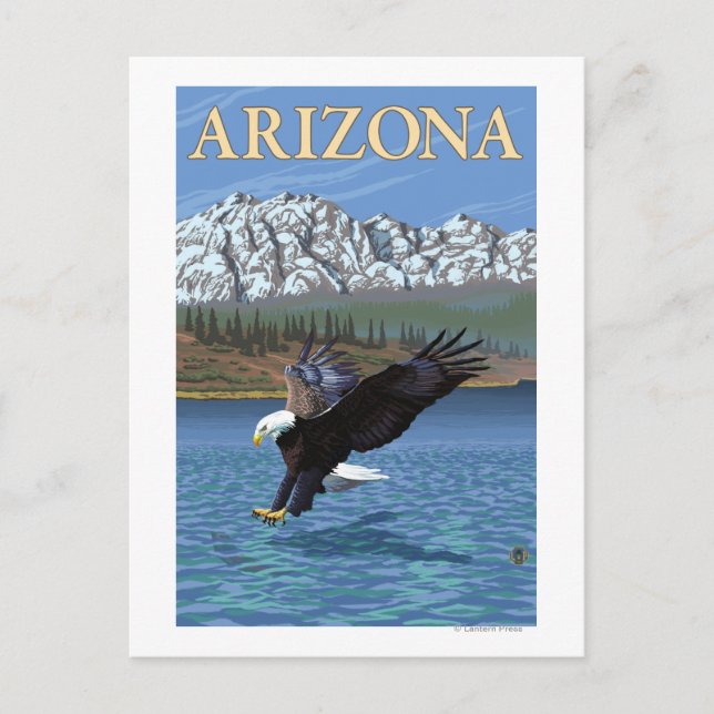 Cartão Postal Eagle DivingArizona (Frente)