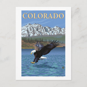 Cartão Postal Eagle DivingColorado