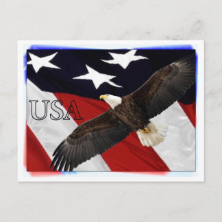 Cartão Postal Eagle e American Flag EUA