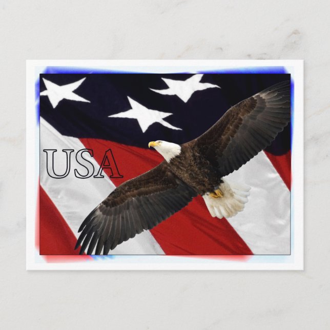 Cartão Postal Eagle e American Flag EUA (Frente)