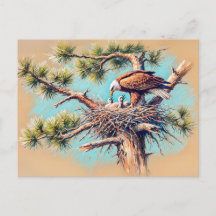 Eagle Feeding Young in Nest on Pine Tree Pastel