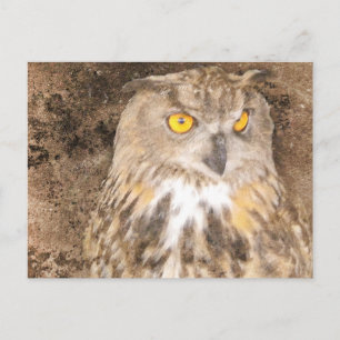 Cartão Postal Eagle Owl - Fundo Escorregado