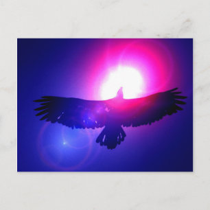 Cartão Postal Eagle Wings - Águia em Voo