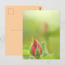 Earth’s Glow and Healing Japanese Flowers/EarthDay