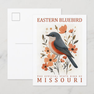 Cartão Postal East Bluebird Bird, Viagem do Missouri USA