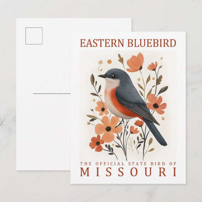 Cartão Postal East Bluebird Bird, Viagem do Missouri USA (Frente/Verso)