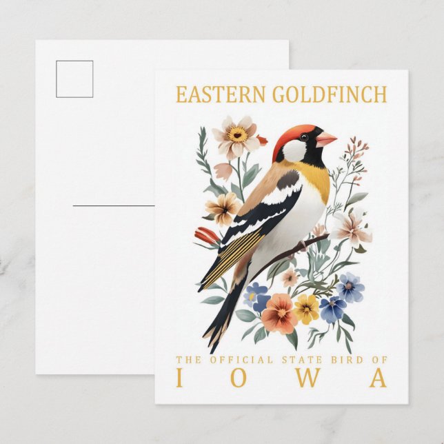 Cartão Postal East Goldfinch Bird, Viagem do Iowa USA (Frente/Verso)