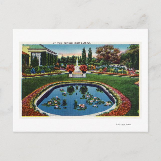 Cartão Postal Eastman House Gardens Lily Pond (Frente)