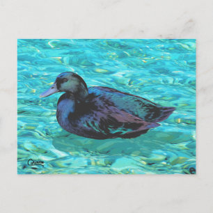 Cartão Postal Ebony Duck - Cartão-postal