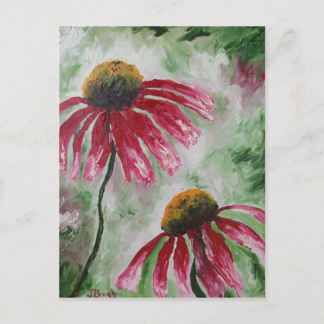 Cartão Postal Echinacea (Frente)