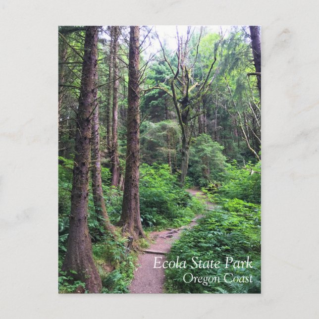 Cartão Postal Eco-a State Park, Cannon Beach, Oregon (Frente)