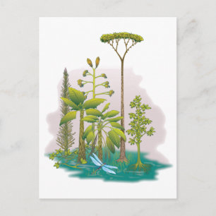 Cartão Postal Ecologia: plantar uma árvore -
