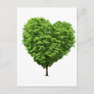 Cartão Postal ecologico